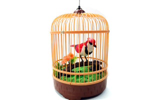 Singing & Chirping Bird in Cage w/ Realistic Sound and Movement